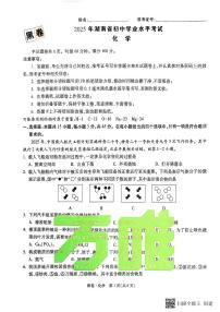 2025《万唯中考•湖南黑白卷》化学黑卷