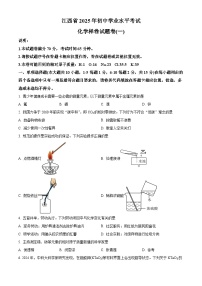 江西省赣州市龙南市2024-2025学年九年级下学期4月期中化学试题（原卷版+解析版）