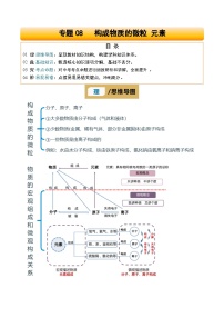 专题08 构成物质的微粒 元素试卷（原卷+解析）-2025年中考化学一轮复习知识清单