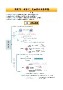 专题09 化学式、化合价与化学用语试卷（原卷+解析）-2025年中考化学一轮复习知识清单