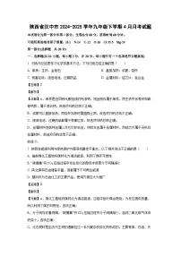 陕西省汉中市2024-2025学年九年级下学期4月月考化学试题(解析版)