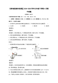 甘肃省陇南市武都区2024-2025学年九年级下学期4月期中化学试题（解析版）