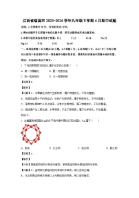 江西省瑞昌市2023-2024学年九年级下学期4月期中化学试题（解析版）