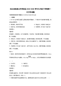 河北省张家口市桥西区2024-2025学年九年级下学期第一次月考化学试题（解析版）