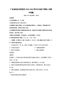 广东省茂名市信宜市2023-2024学年九年级下学期4月期中化学试题（解析版）