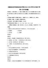安徽省安庆市宿松县部分学校2024-2025学年九年级下学期4月月考化学试题（解析版）
