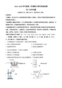 山东省菏泽市郓城县2024-2025学年九年级下学期期中化学试题（原卷版+解析版）