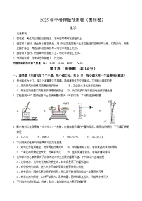 2025年中考押题预测卷：化学（贵州卷）（考试版）