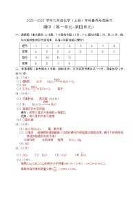 广东省深圳市龙岗区宏扬学校2024-2025学年九年级上学期11月期中考试化学试题
