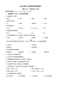 上海市南汇区第四中学2024-2025学年九年级下学期3月月考化学试题（原卷版+解析版）