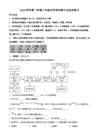 上海市普陀区2024--2025学年八年级下学期期中化学试题（原卷版+解析版）