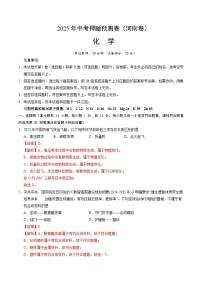 2025年中考押题预测卷：化学（河南卷）（解析卷）