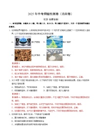 2025年中考押题预测卷：化学（济南卷）（解析卷）