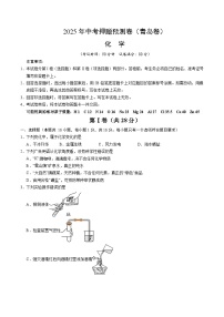2025年中考押题预测卷：化学（青岛卷）（考试版）
