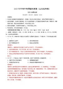 2025年中考押题预测卷：化学（山东统考卷）（解析卷）