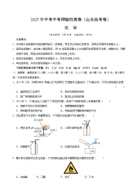 2025年中考押题预测卷：化学（山东统考卷）（考试版）
