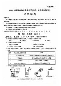 2025年陕西省咸阳市永寿县上邑中学中考第六次模拟考试化学试题（中考模拟）