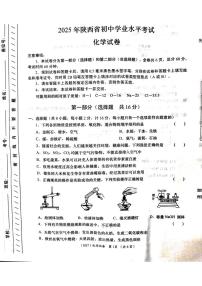 2025年陕西省咸阳市中考二模化学试题（中考模拟）