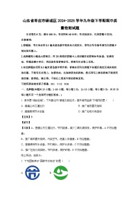 山东省枣庄市峄城区2024-2025学年九年级下学期期中质量检测化学试题（解析版）