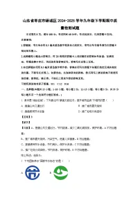 山东省枣庄市峄城区2024-2025学年九年级下学期期中质量检测化学试题（解析版）