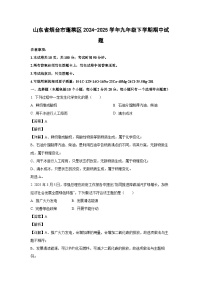 山东省烟台市蓬莱区2024-2025学年九年级下学期期中化学试题（解析版）