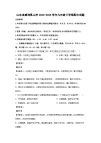 山东省威海乳山市2024-2025学年九年级下学期期中化学试题（解析版）