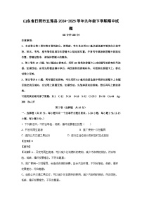 山东省日照市五莲县2024-2025学年九年级下学期期中化学试题（解析版）