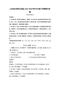 山东省日照市五莲县2024-2025学年九年级下学期期中化学试题（解析版）