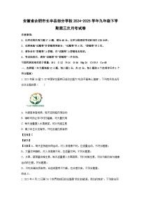 安徽省合肥市长丰县部分学校2024-2025学年九年级下学期第三次月考化学试题（解析版）