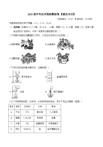 2025届中考化学模拟卷 【湖北专用】