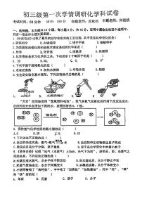 广东省湛江市雷州市2024-2025学年九年级上学期第一次月考化学试题