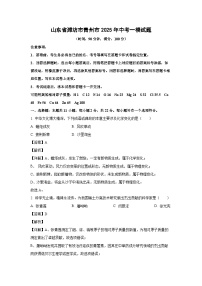 山东省潍坊市青州市2025年中考一模化学试题（解析版）