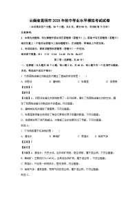 云南省昆明市2025年初中学业水平模拟考试化学试题（解析版）