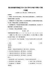 湖北省孝感市孝南区2024-2025学年九年级下学期4月期中化学试题（解析版）