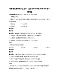 甘肃省武威市凉州区金羊、金沙九年制学校2025年中考一模化学试题（解析版）