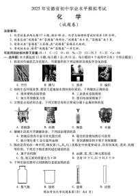 2025年安徽省合肥市第四十五中学中考二模化学试卷（中考模拟）