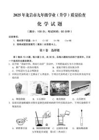 2025年福建省龙岩市初中毕业班教学质量检测化学试题（中考模拟）