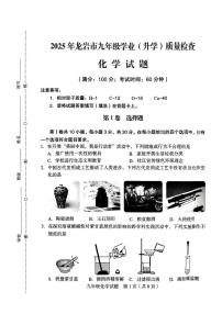 2025年福建省龙岩市中考一模化学试题（中考模拟）