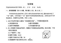 2025年广东省深圳市龙岗区中考二模考试化学试题（中考模拟）
