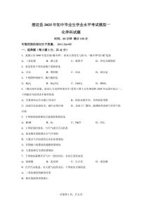 2025年海南省澄迈县九年级学业水平考试模拟（一）化学试题（中考模拟）