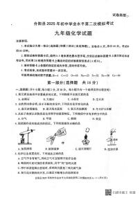 2025年陕西省渭南市合阳县中考二模化学试题（中考模拟）