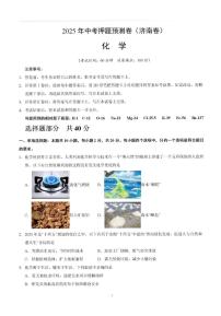 2025年济南市初三化学中考押题预测卷及其答案解析
