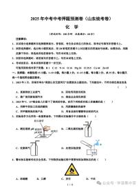 2025年山东省初三化学中考押题预测卷及其答案