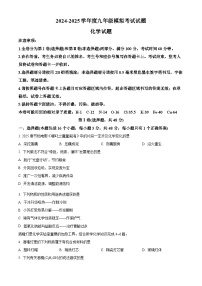 四川省成都市武侯区2025届中考二模 化学试题