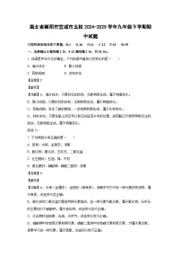 湖北省襄阳市宜城市五校2024-2025学年九年级下学期期中化学试题（解析版）