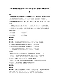 山东省烟台市招远市2024-2025学年九年级下学期期中化学试题（解析版）