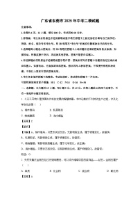 广东省东莞市2025年中考二模化学试题（解析版）