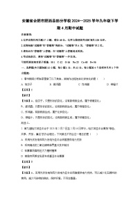 安徽省合肥市肥西县部分学校2024--2025学年九年级下学期4月期中化学试题（解析版）