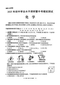 2025年河南省鹤壁市中考一模考试化学试题（中考模拟）