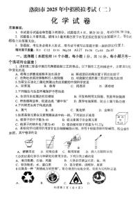 2025年河南省洛阳市中考二模化学试卷（中考模拟）